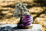 White Dogwood Tree of Life - TREE ONLY